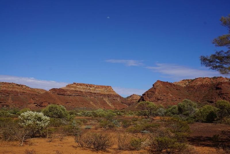 Illustration for article titled AWOL Around Australia... The Pilbara. Part 1